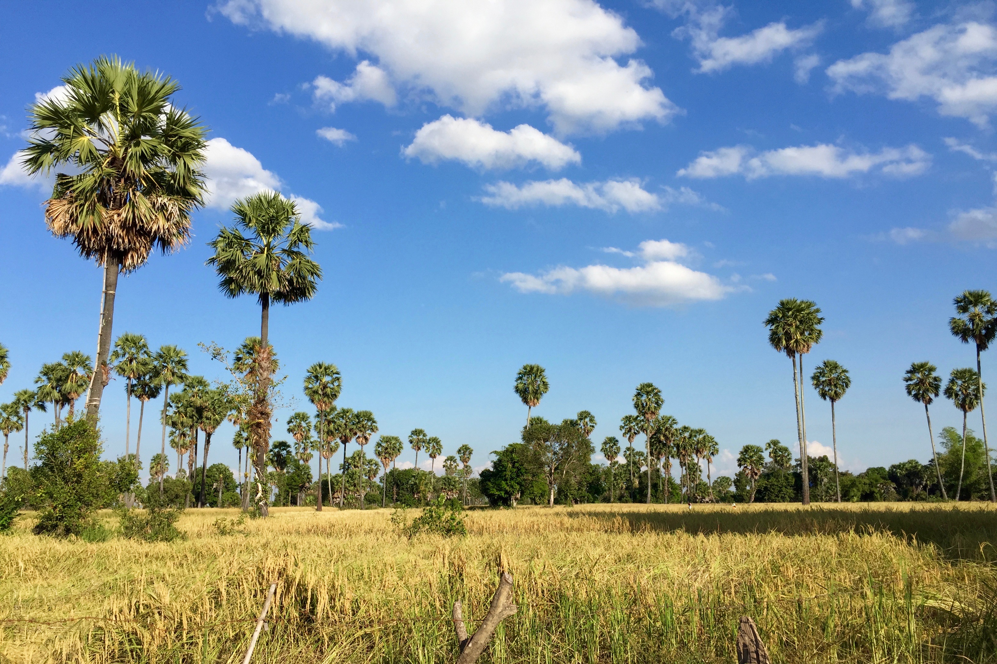 Introduction to Kampong Chhnang